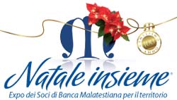 logo-natale-insieme